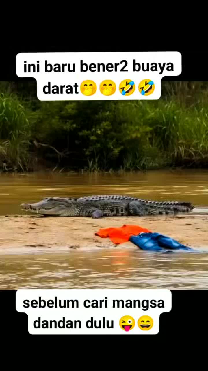 @Putri Meimei