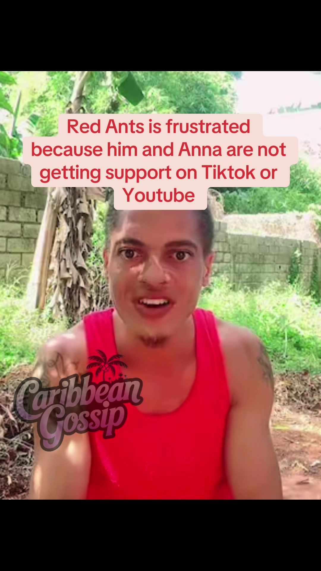 @✨Caribbean Gossip✨