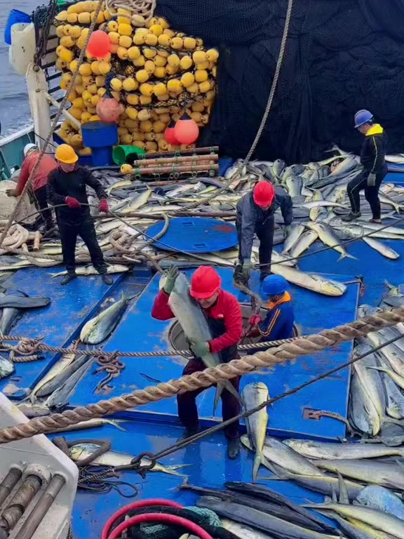 @🛳️hàmìdø⚓⚡Ræysë🐬🏴☠️