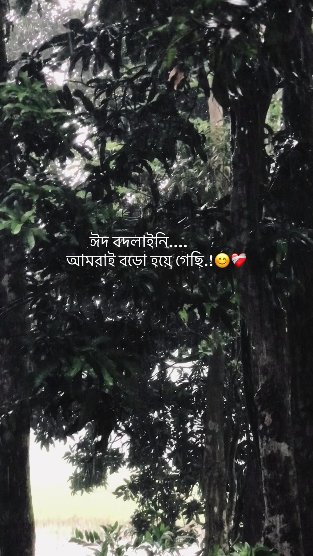 @the_spydoo🕸️ 🥏