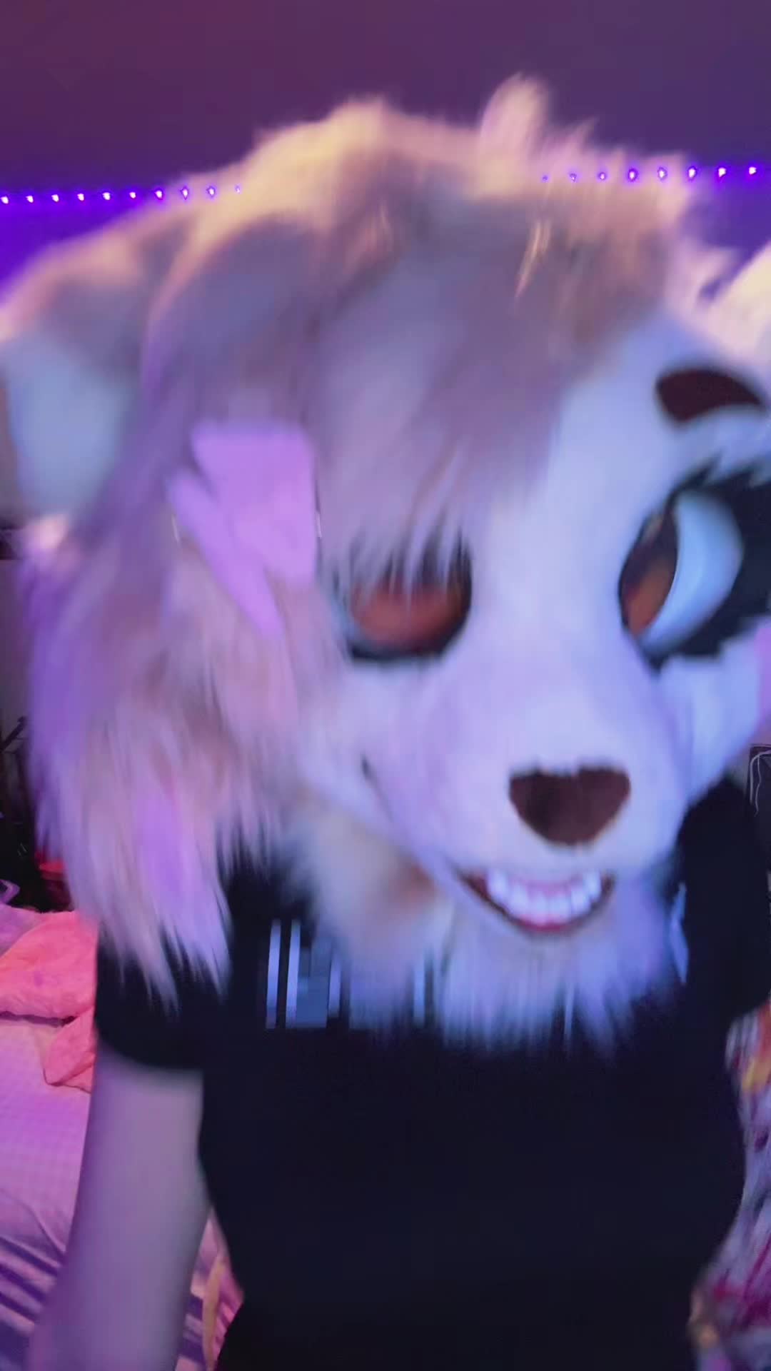 @🎀🦊Foxii🦊🎀