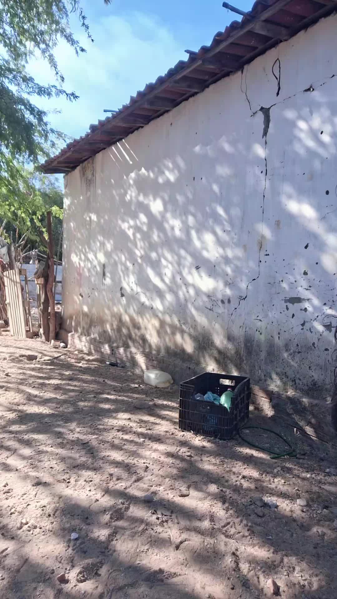 @Baixinha do Pernambuco