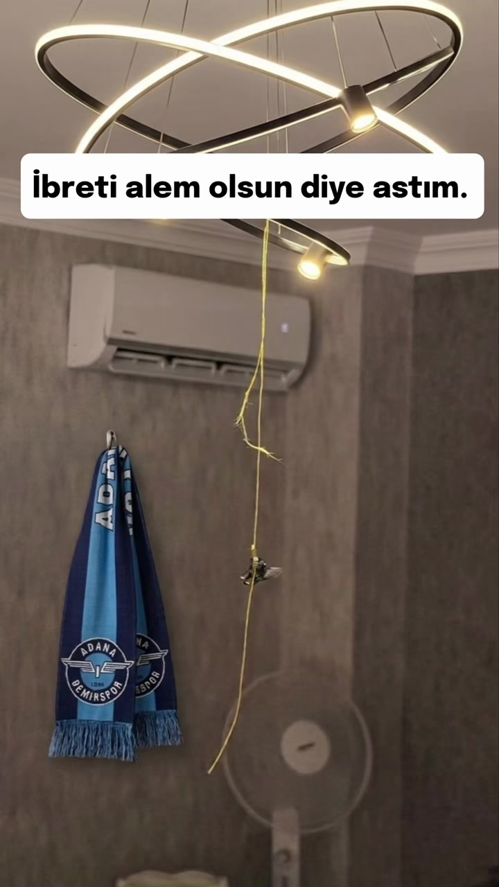 @Bizadanaliyik