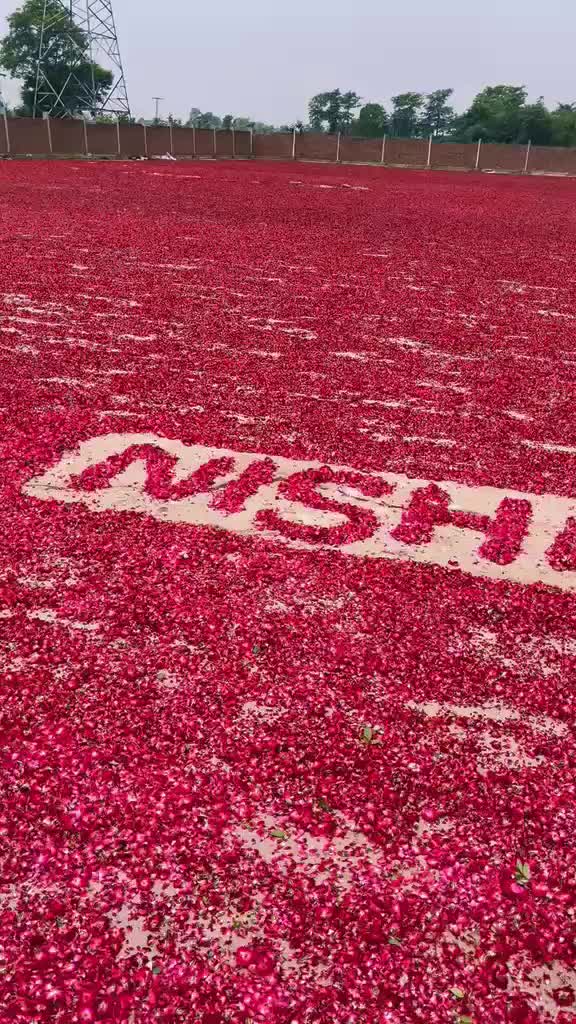 @🌷𝐒𝐇𝐀𝐍 𝐅𝐋𝐎𝐖𝐄𝐑𝐒🌷