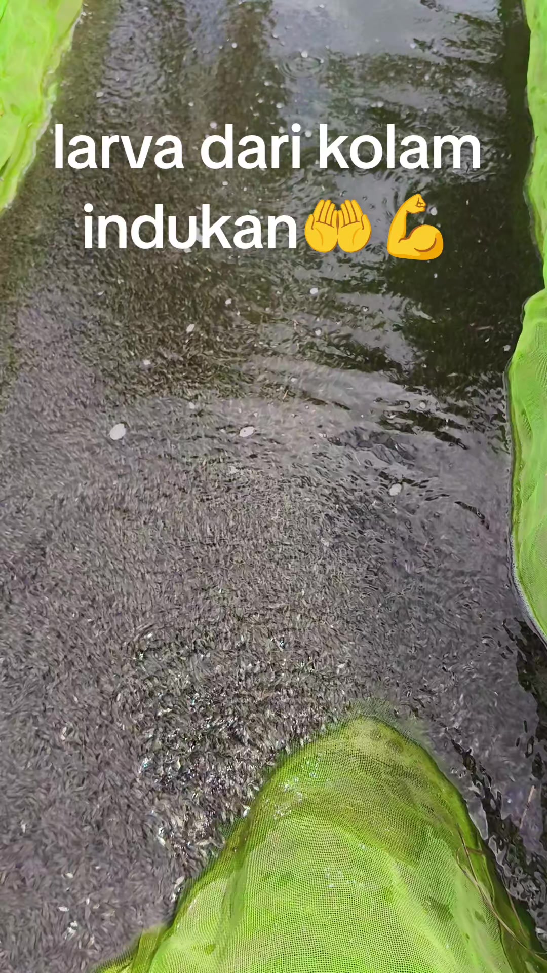 @Rio rikardo