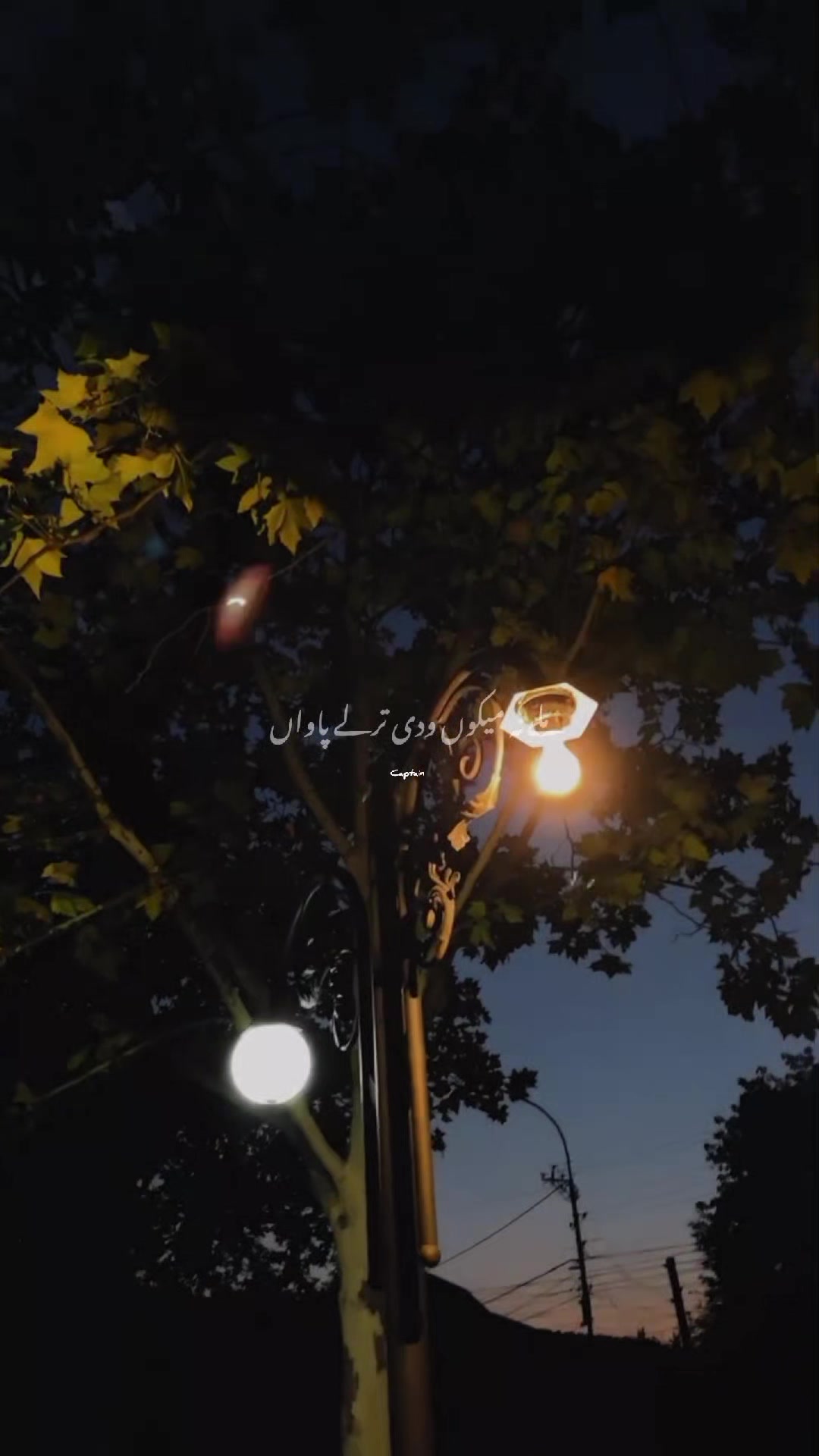 @𝘾𝘼𝙋𝙏𝘼𝙄𝙉 🚩