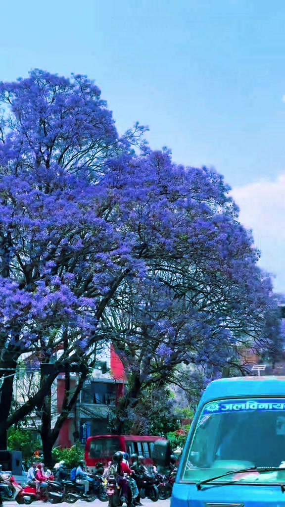 @🇳🇵𝙉𝘼𝘽𝙄𝙉🇳🇵