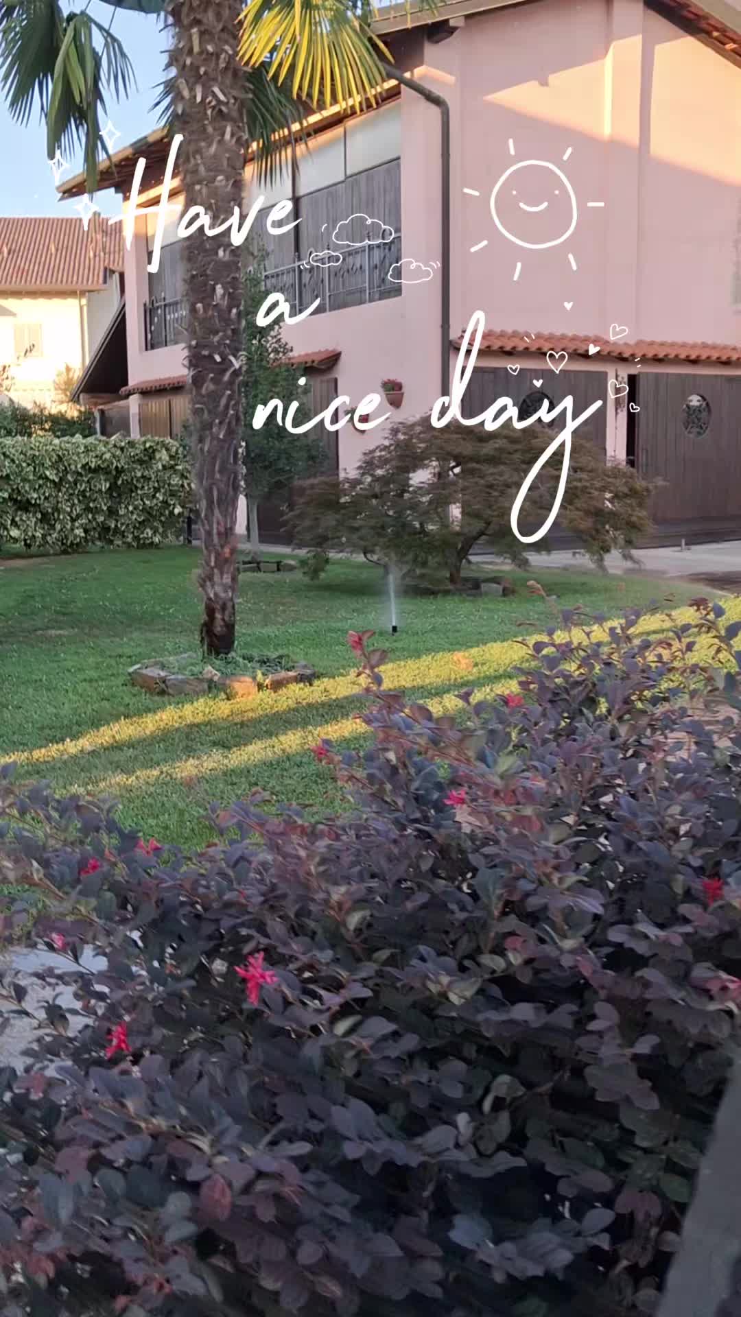 @ago 75