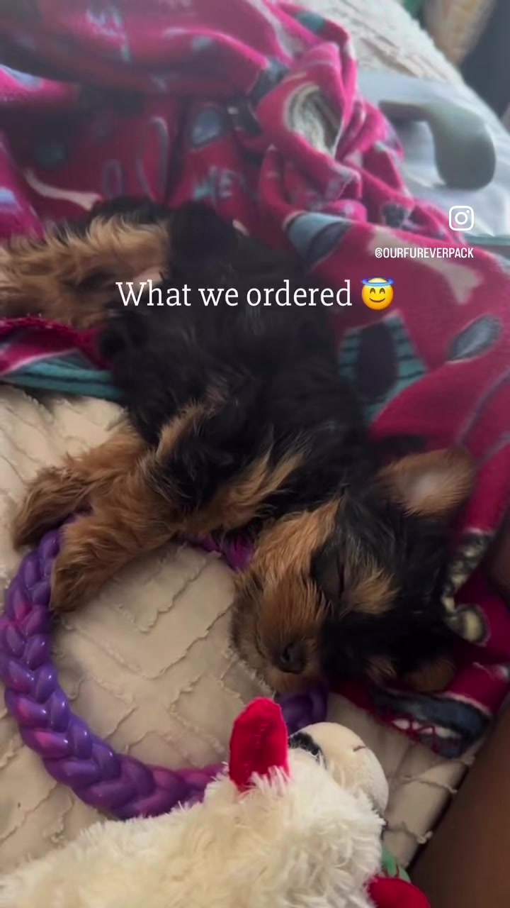 @idreamofjennifer