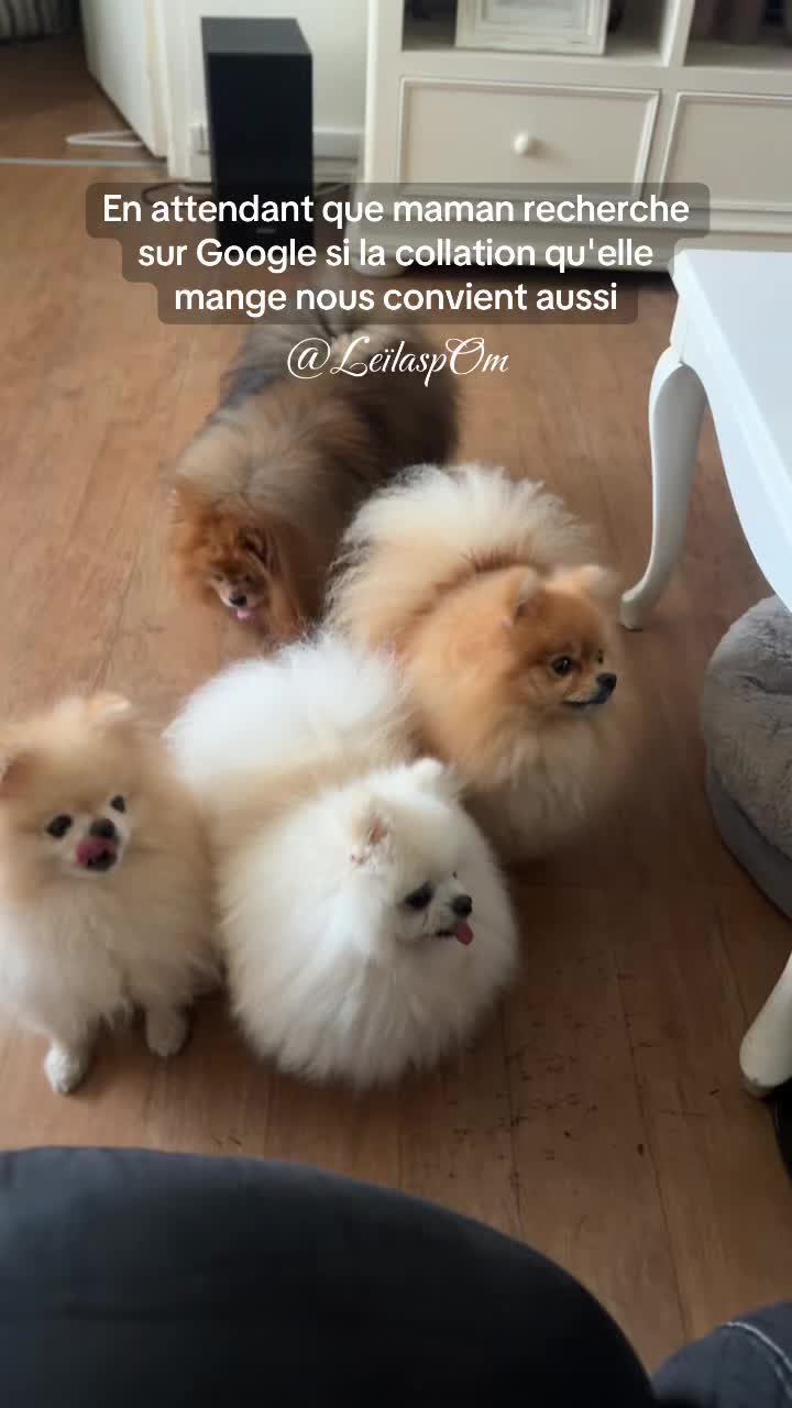 @🎀Leïla’spOm🎀