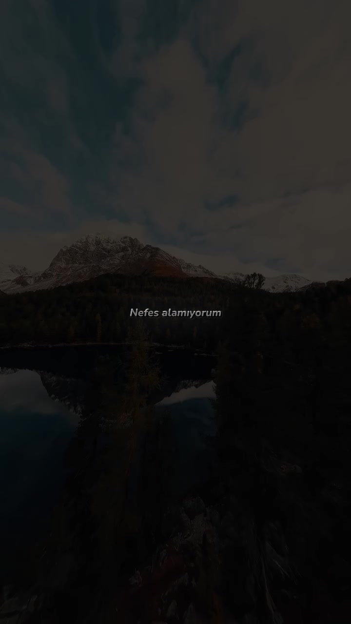 @𝗱𝗺𝗻𝗹𝘆𝗿𝗶𝗰𝘀