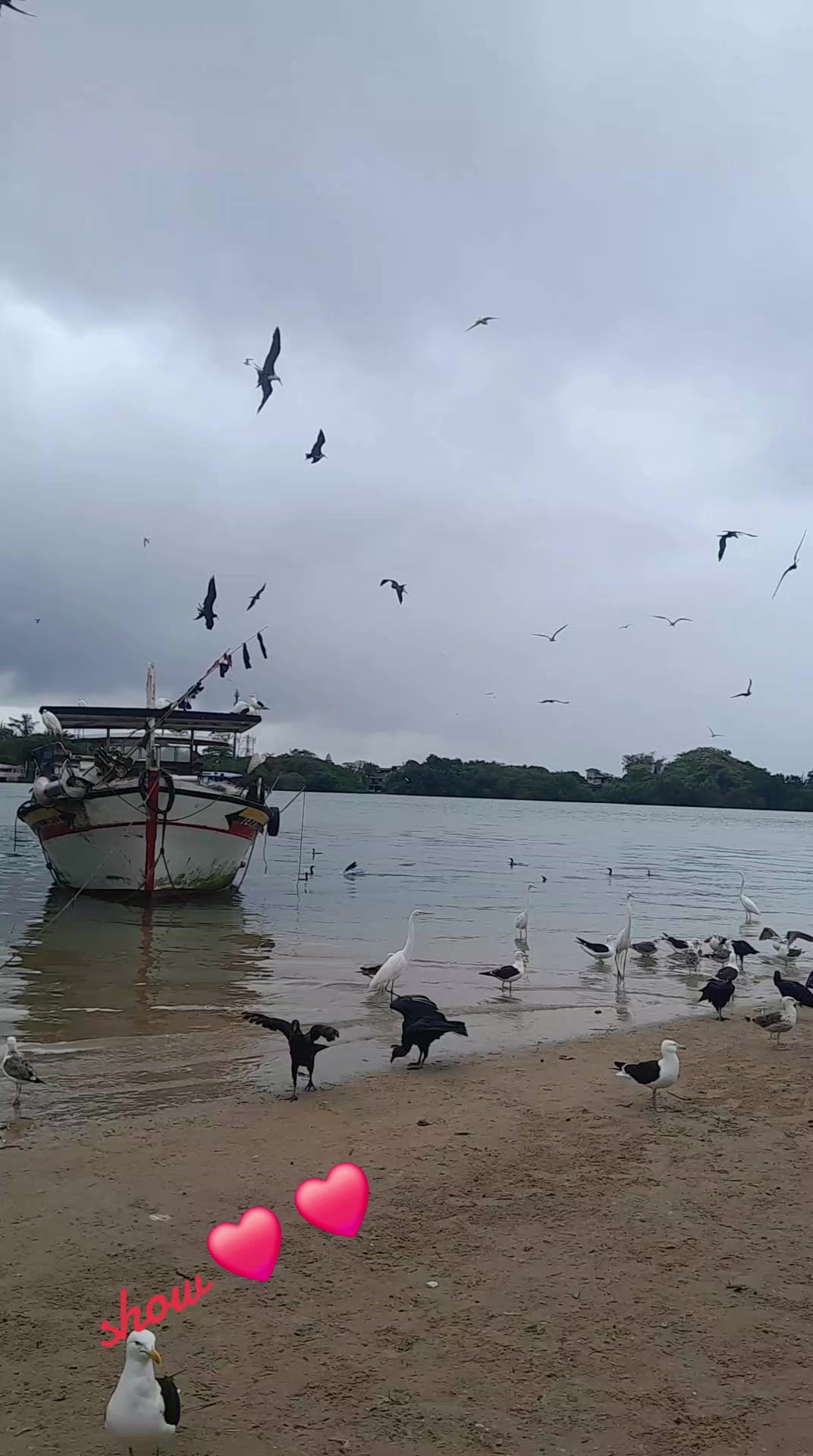 @João Batista