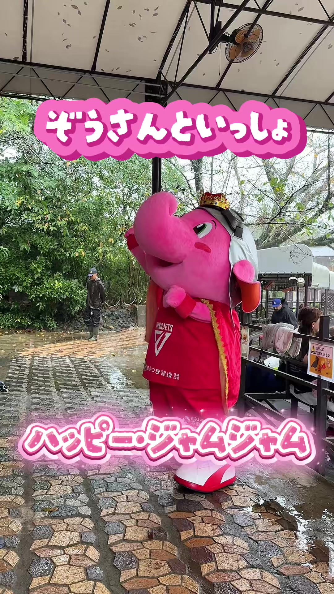 @千葉ジェッツ