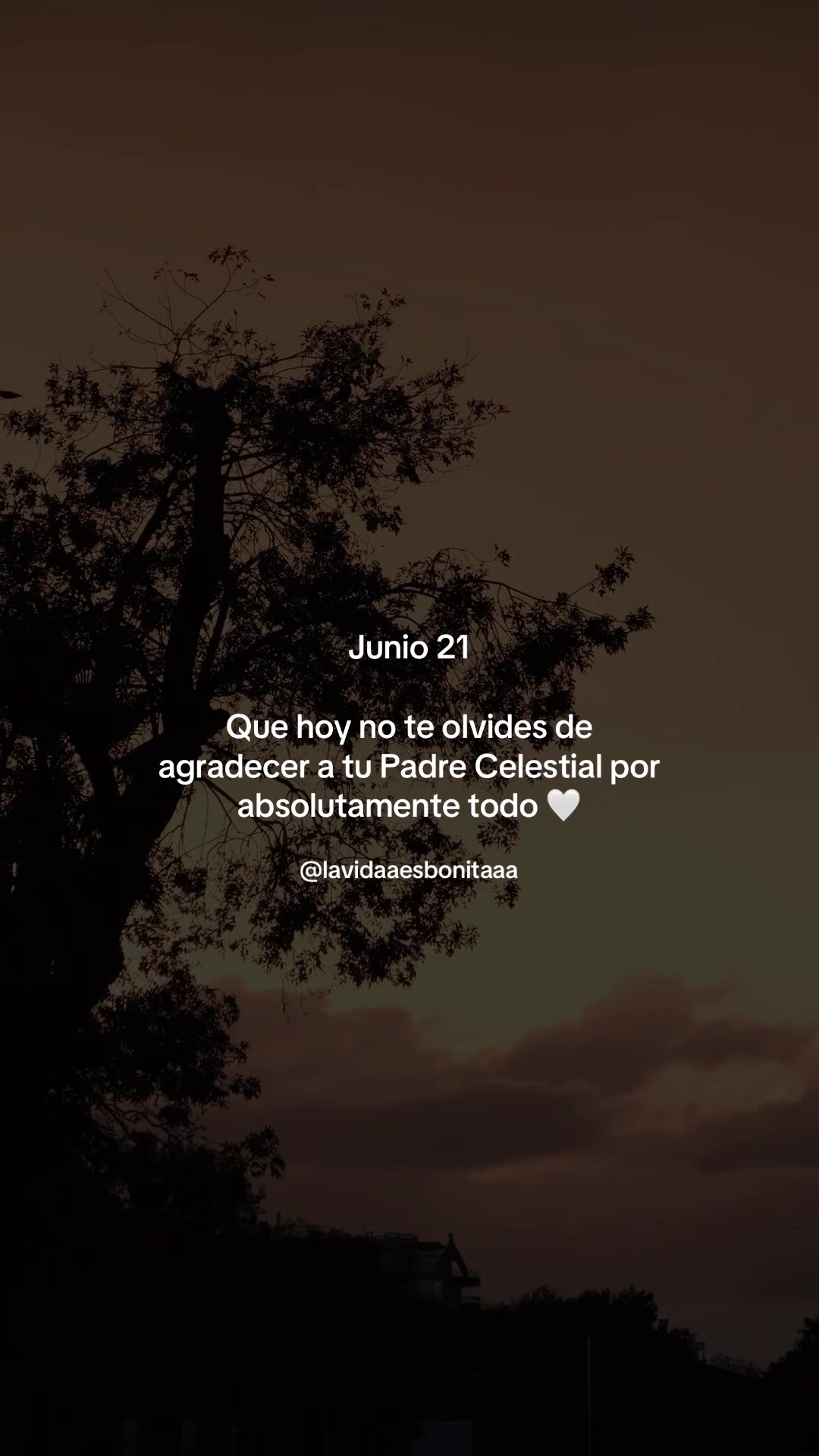 @vidabonita❤️&zwj;🩹