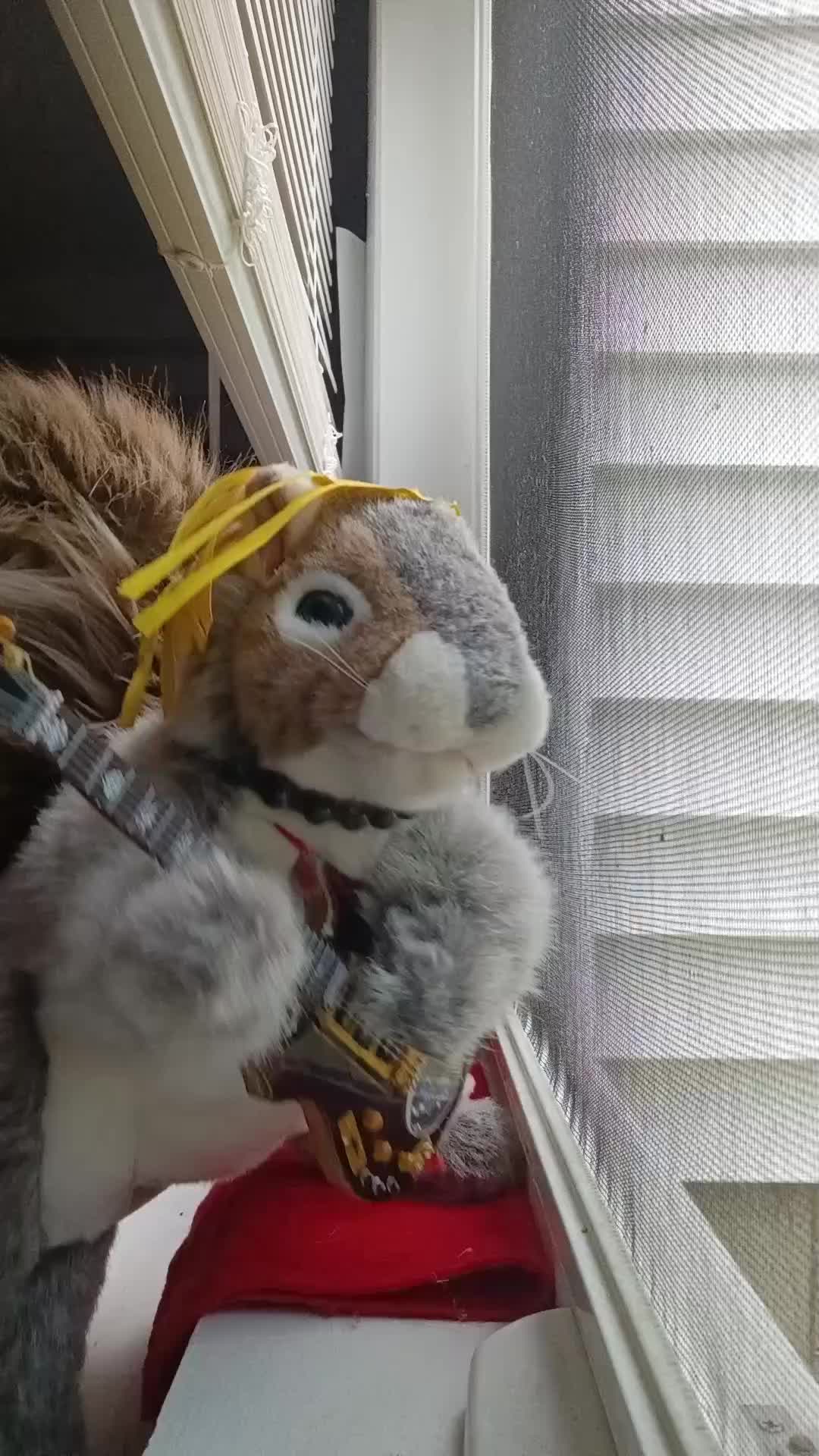 @Charles The Squirrel