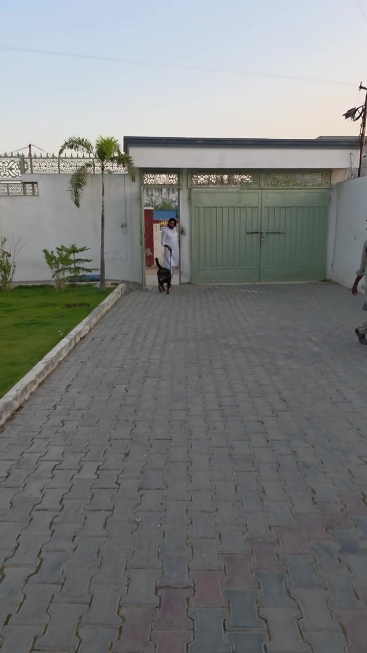 @jazib.warraich50