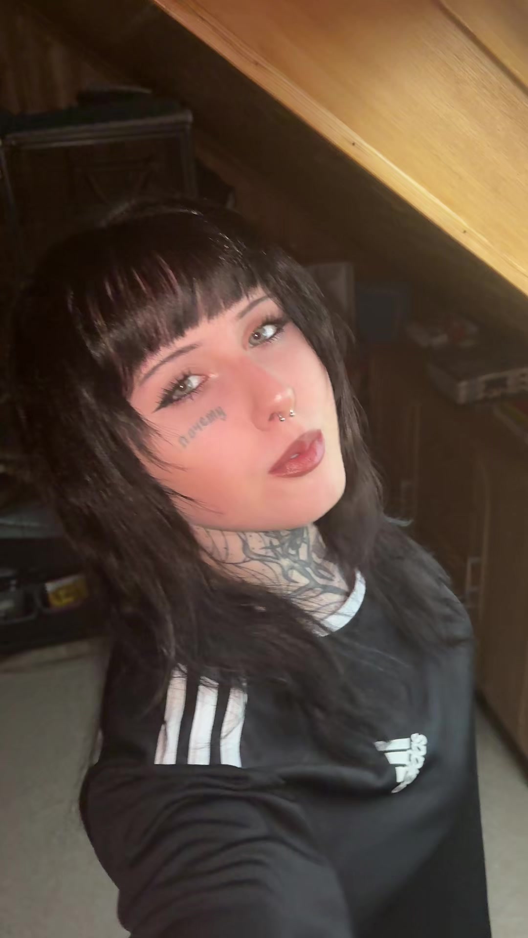 @🕷️