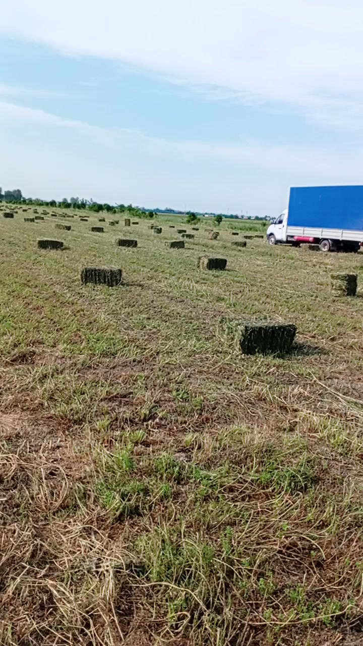 @0000