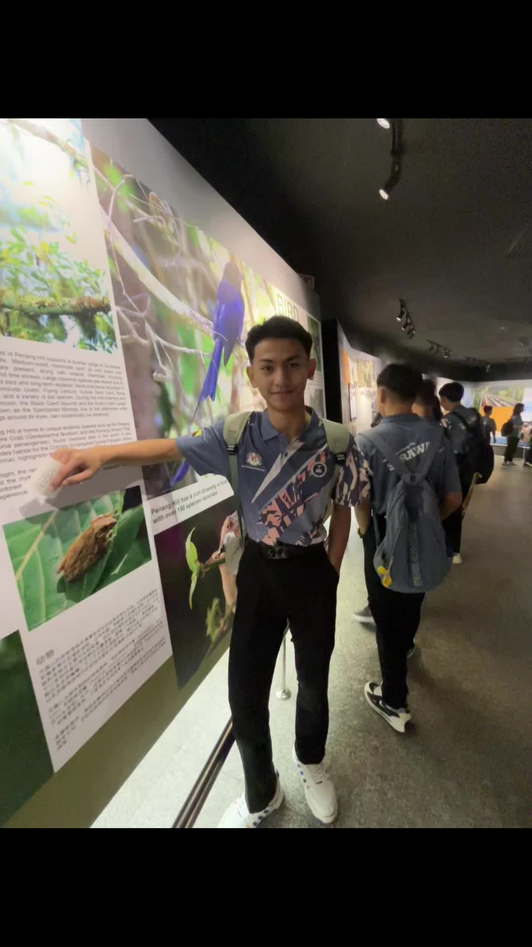 @webujai10