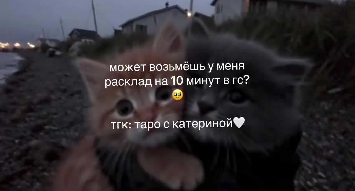 @комфорт таро