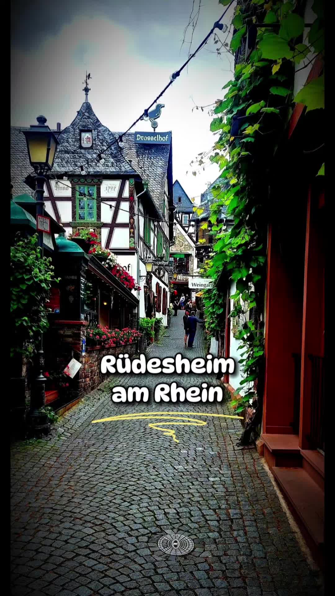 @Hidden.Europe🌍