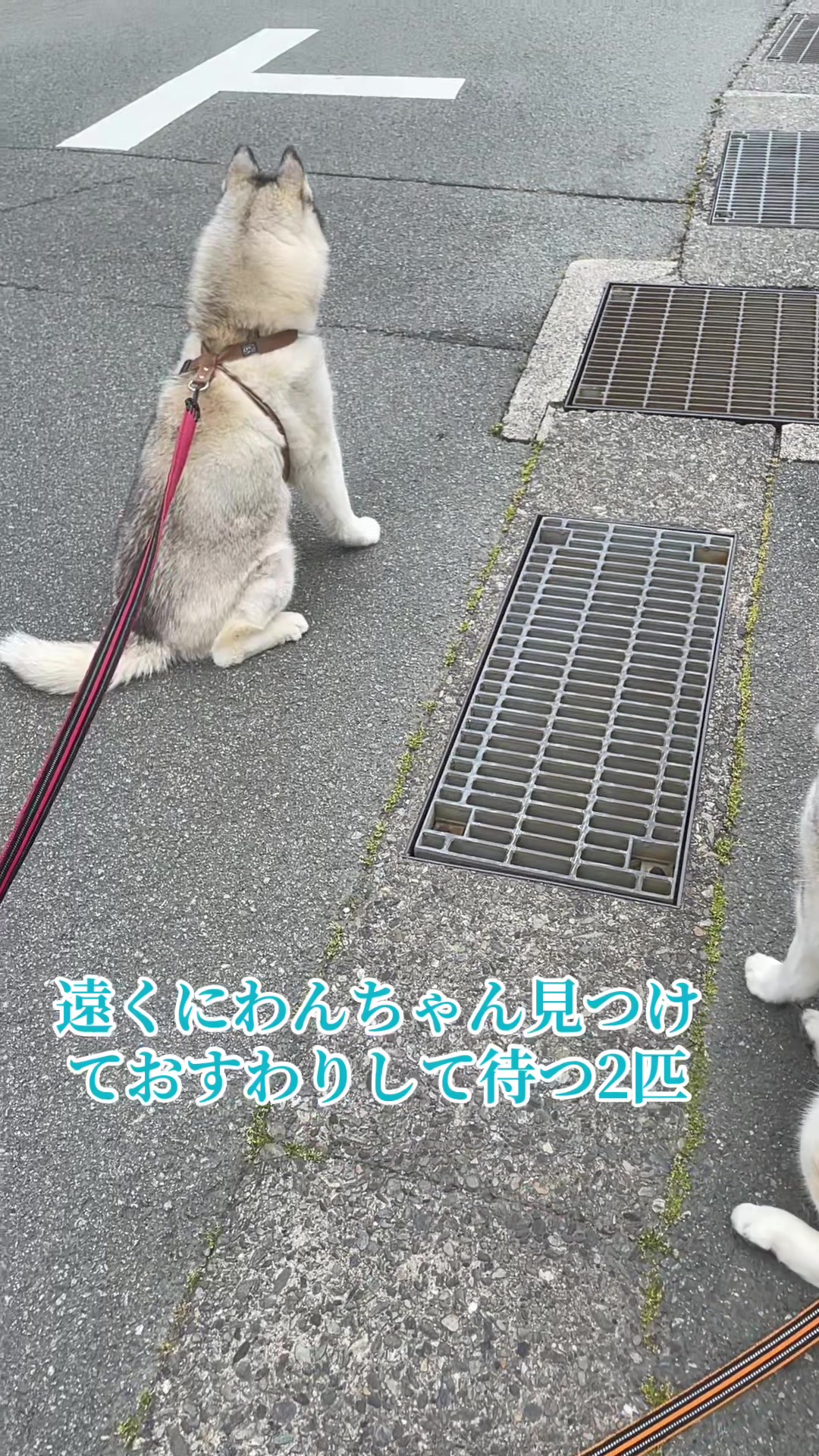 @サン☀️とムーン🌙