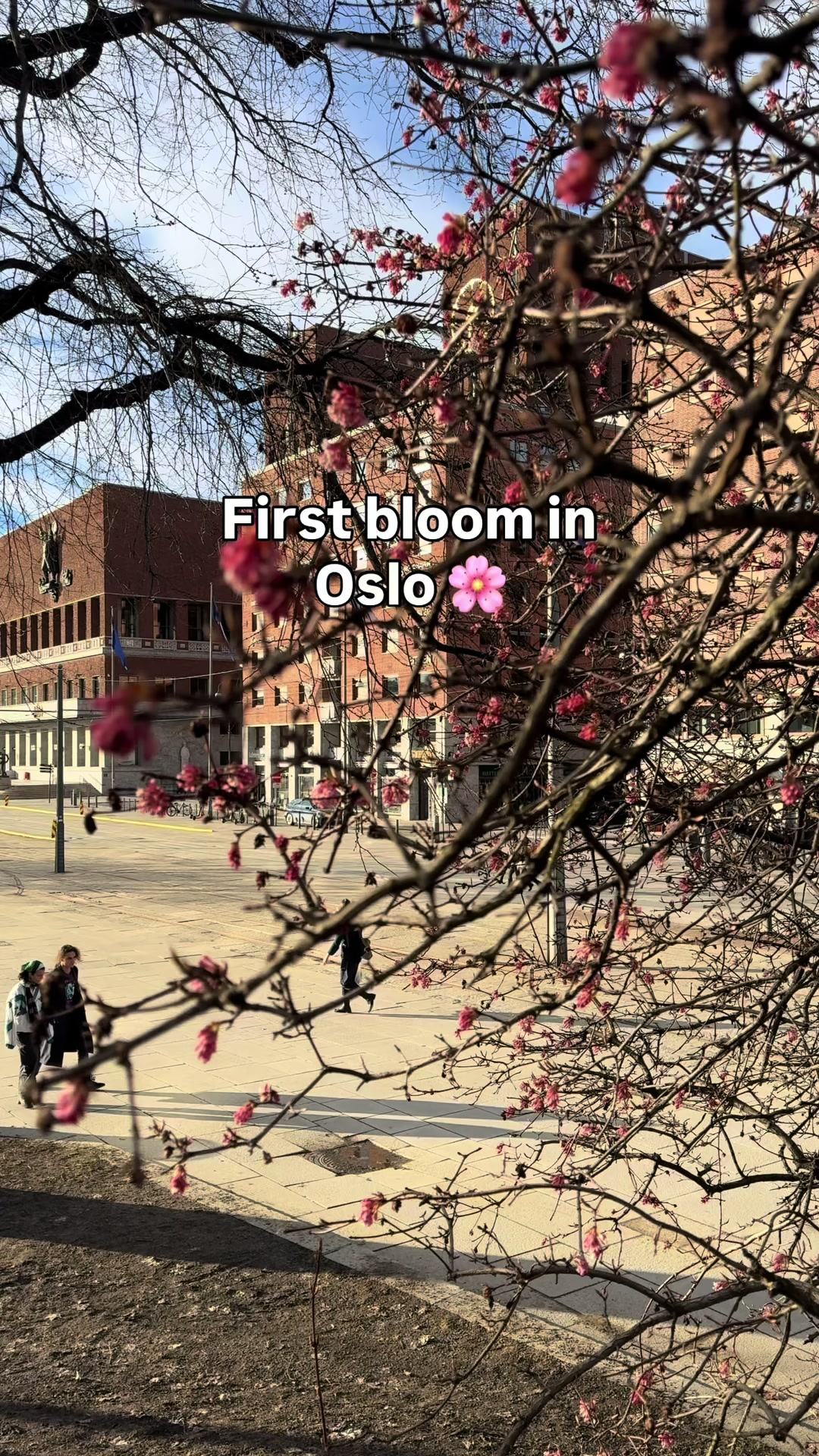 @colorsofnorway