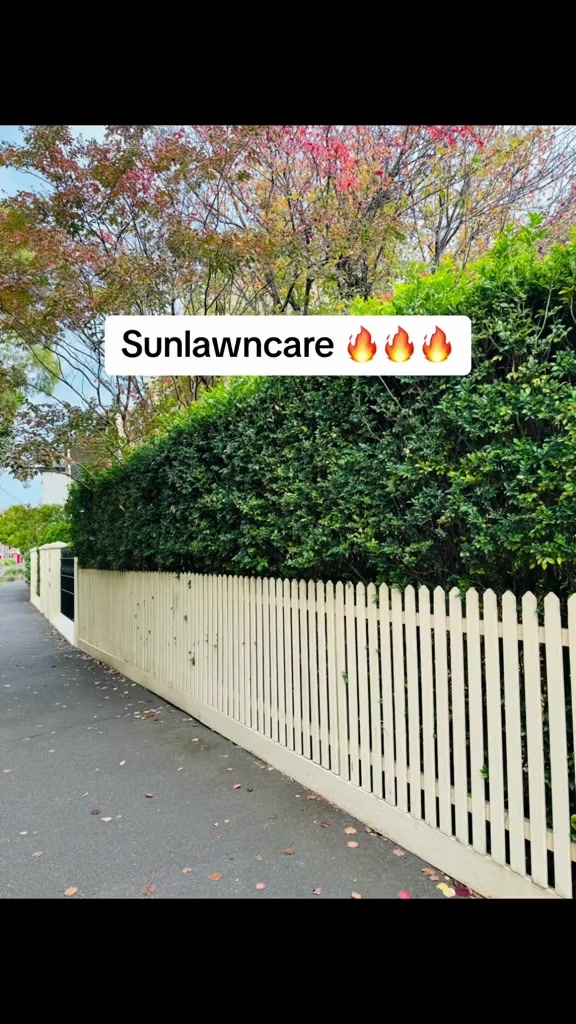 @SKR🇦🇺