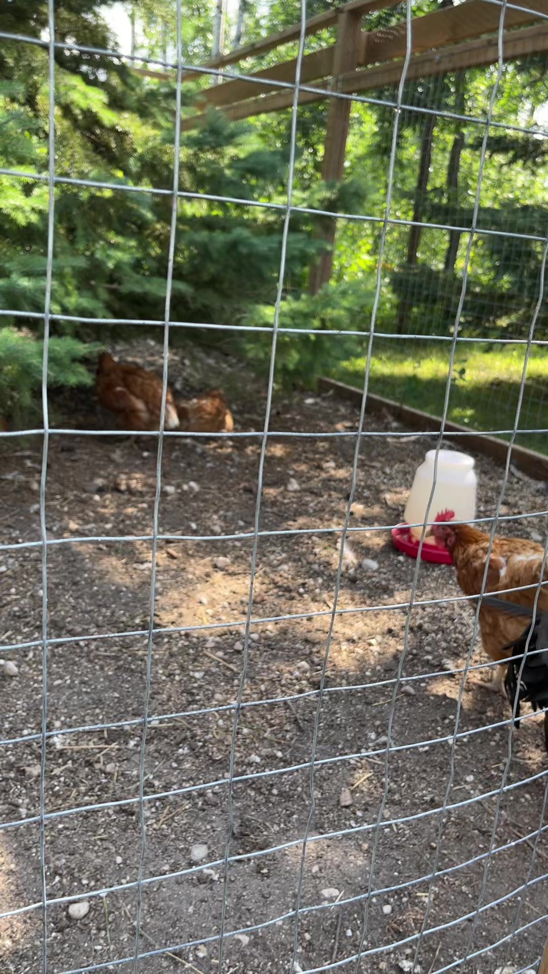 @The Fisher Farm ๐จ๐ฆ