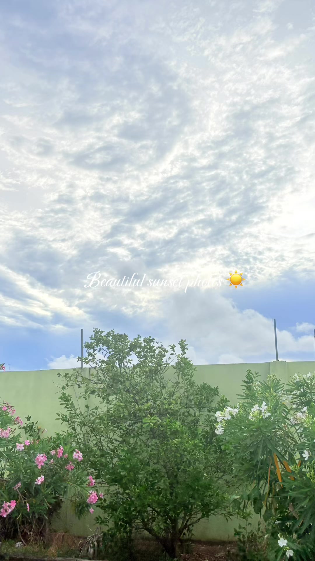 @Tomicka ๐ฌ๐พ๐