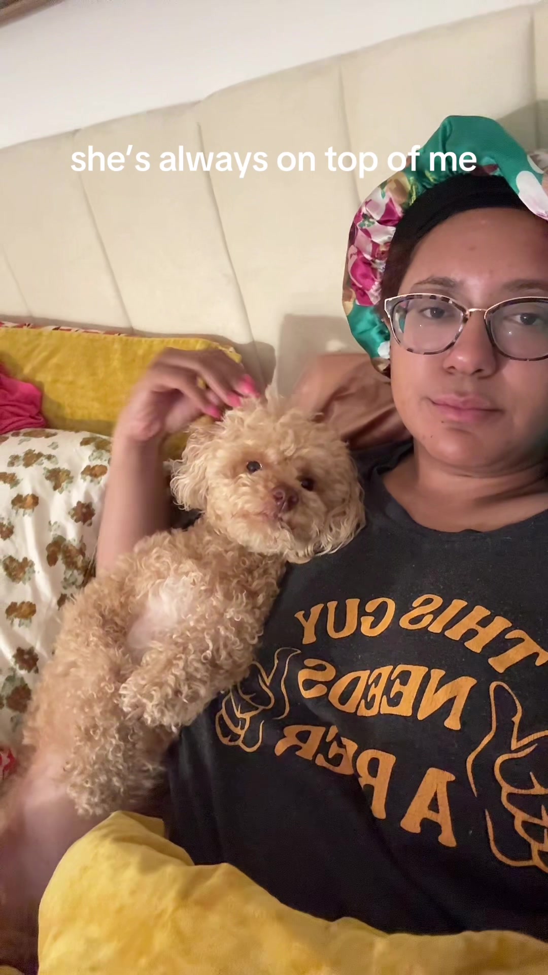 @Angel & Halo: Shepsky & Poodle