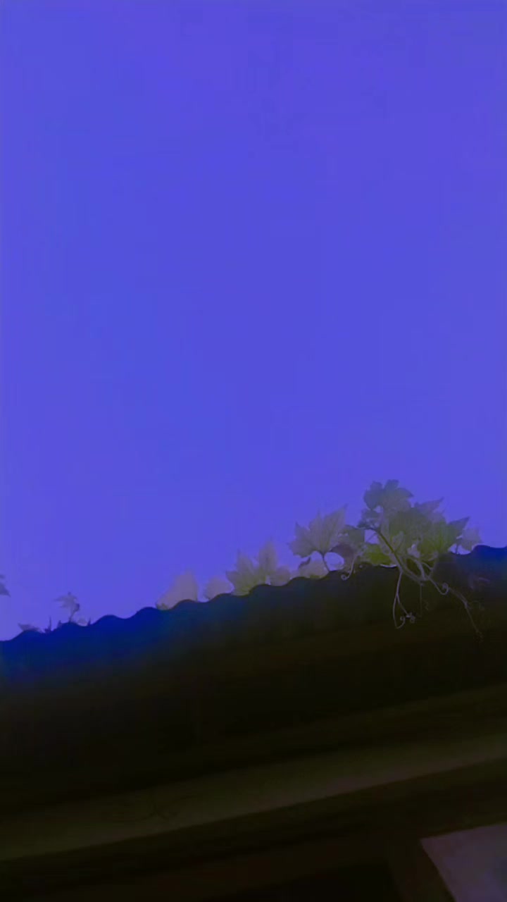 @🆀🆄🅴🅴Ⓝ_Ⓡ🅾🅾Ⓟ🅰