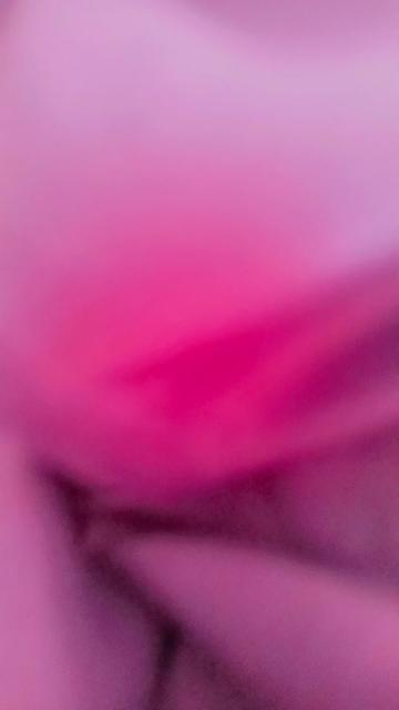 @Bilal.bj