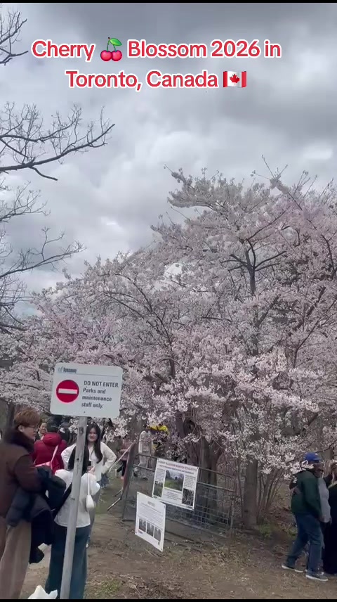 @Sajjad-Canada🇨🇦