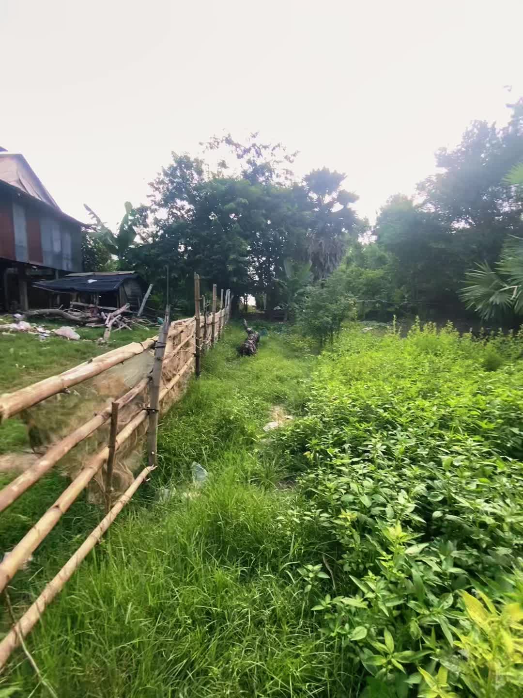 @Sak - សាក់ 👑🤍