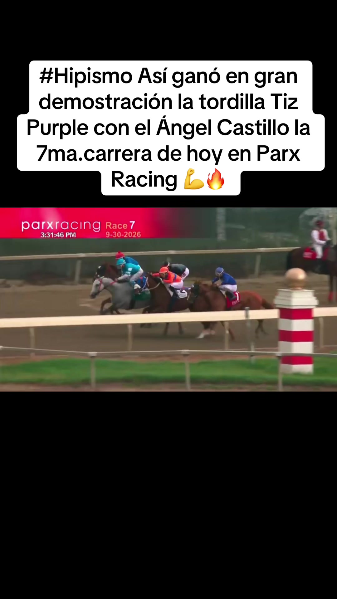 @Harrington Hurtado