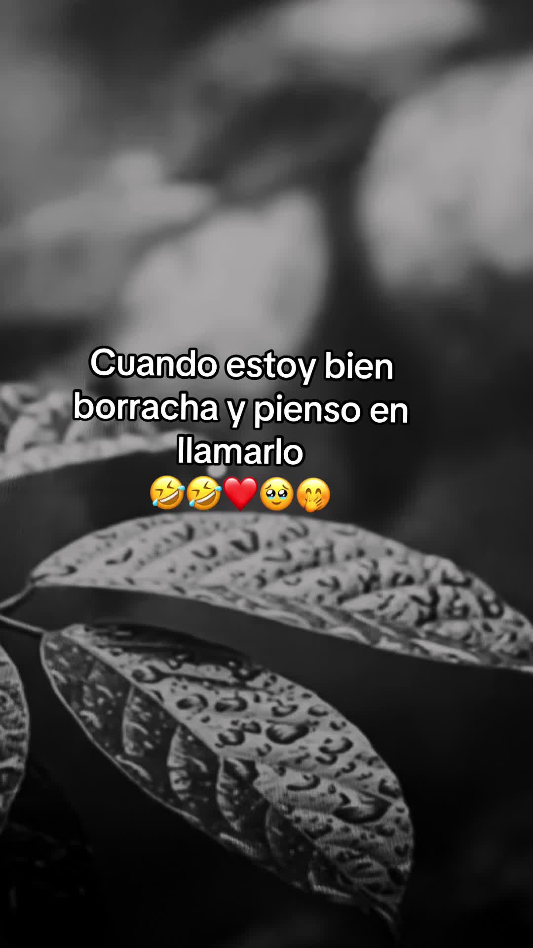 @Aida RamireZz❤️