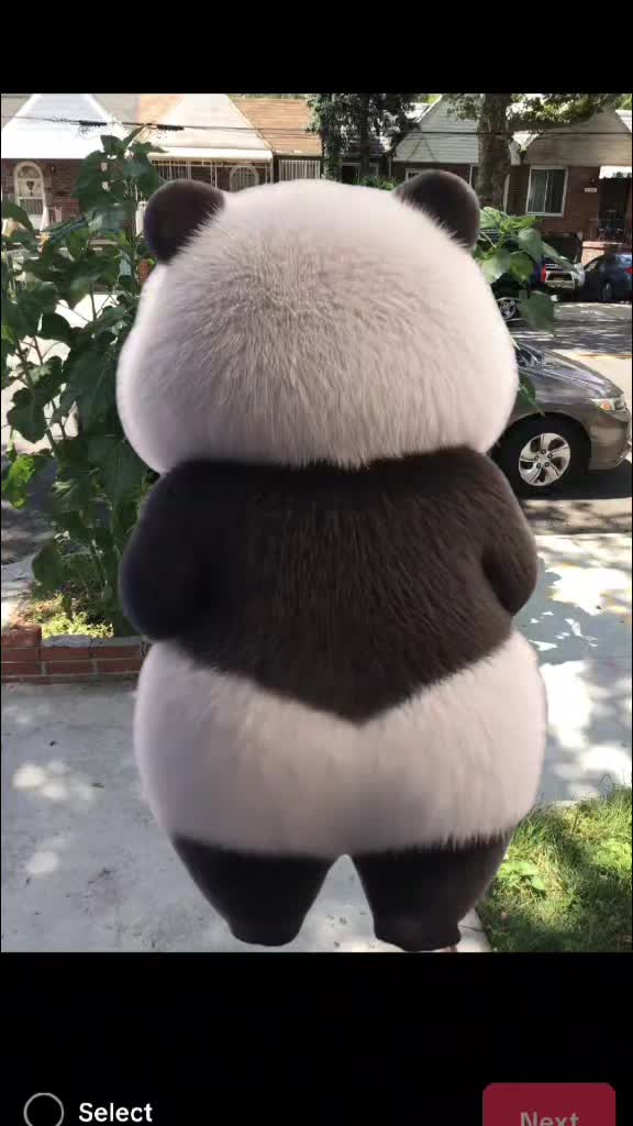 @lia