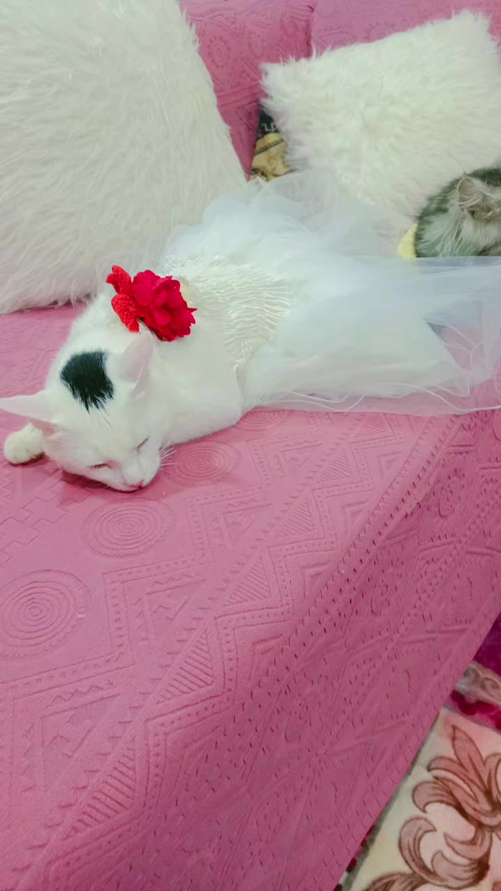 @Ghada _Al_Abyari_ غادة