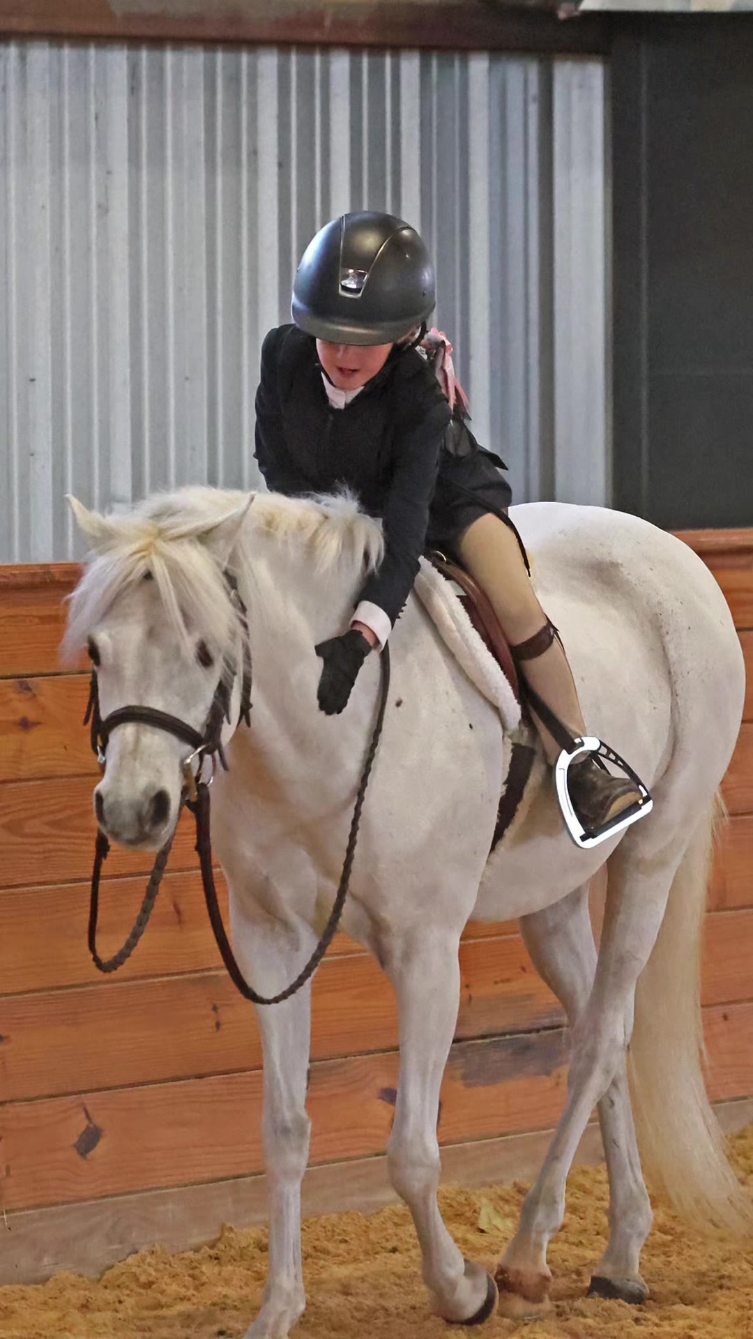 @ckponies