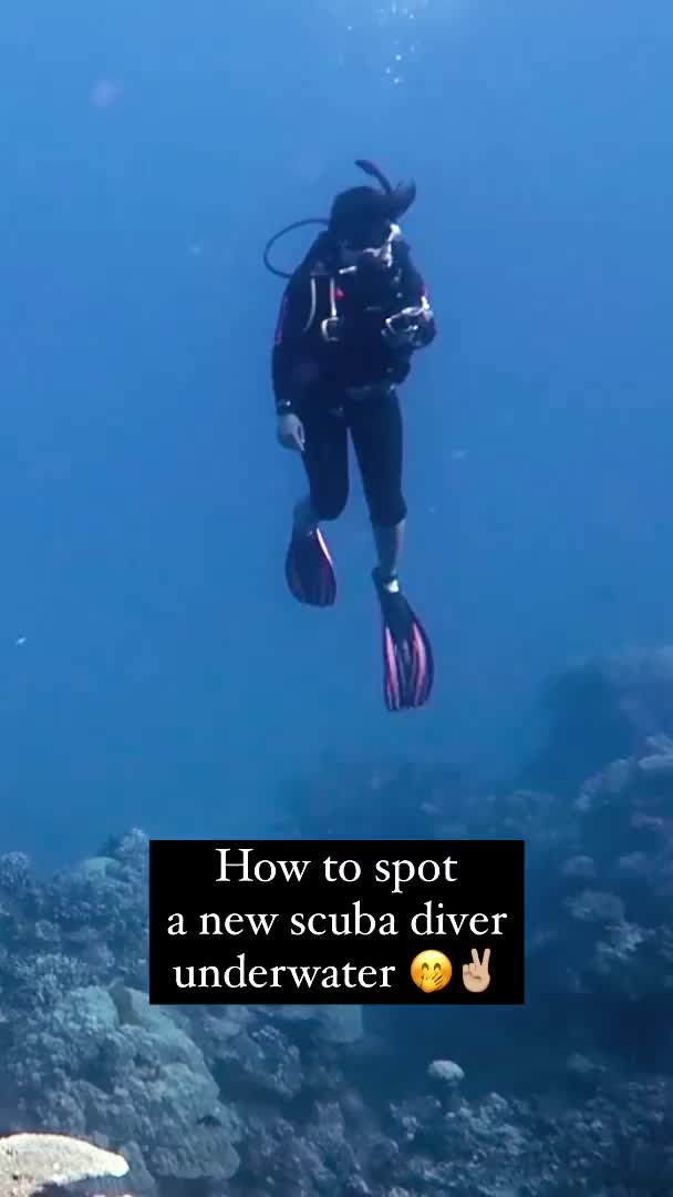 @Scuba Diving with Ara
