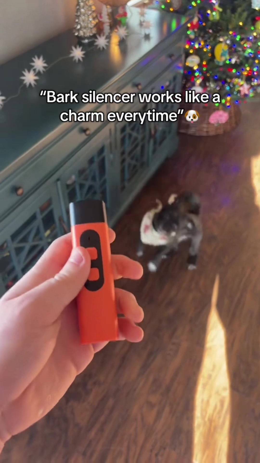 @topfoxdeals
