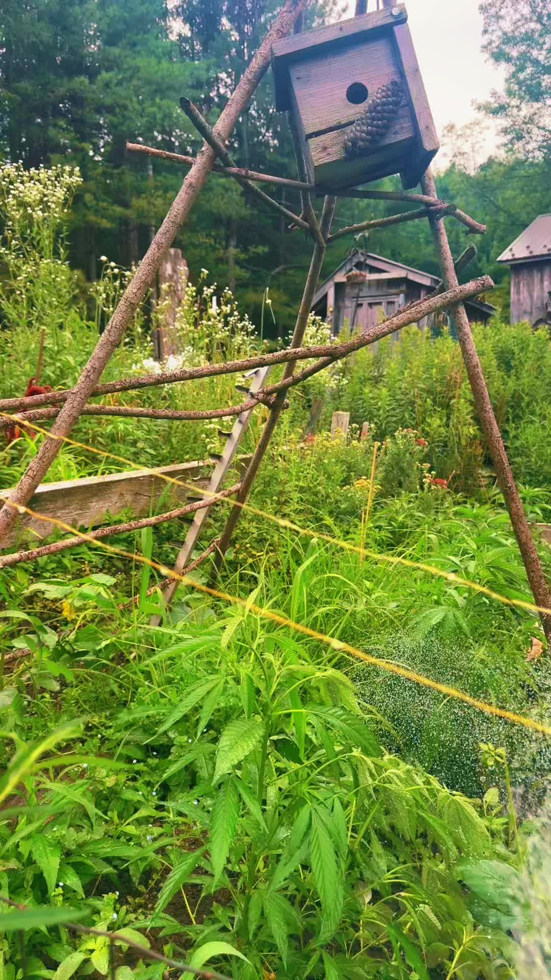 @Unreal Ranch Homestead