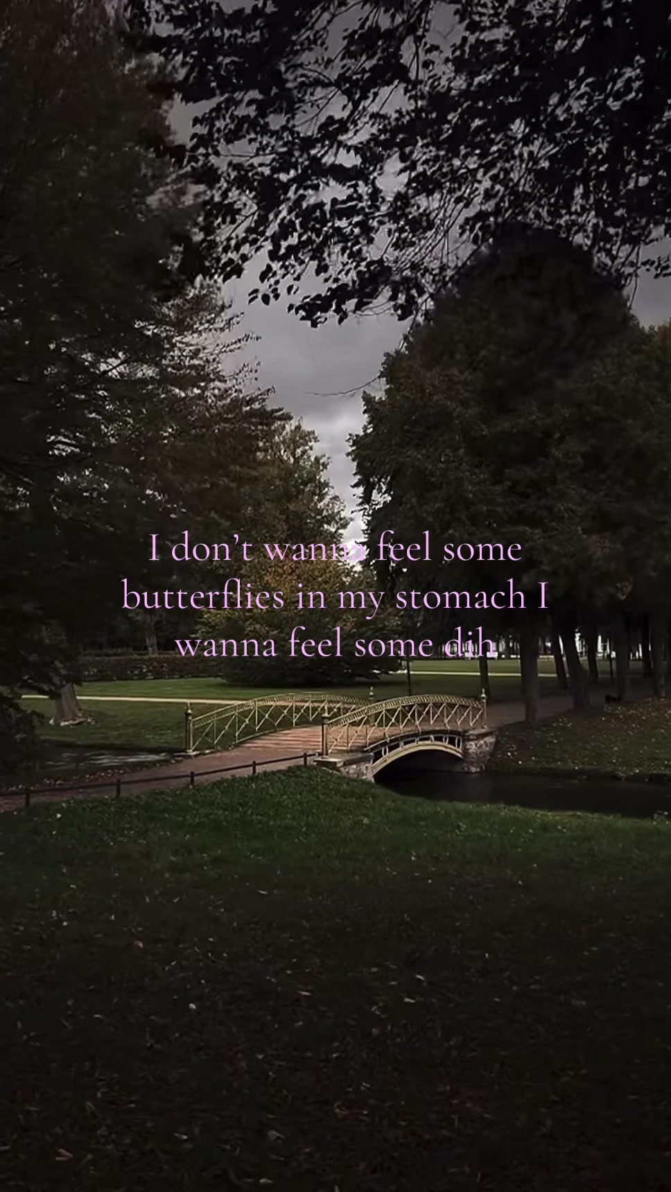@🧸