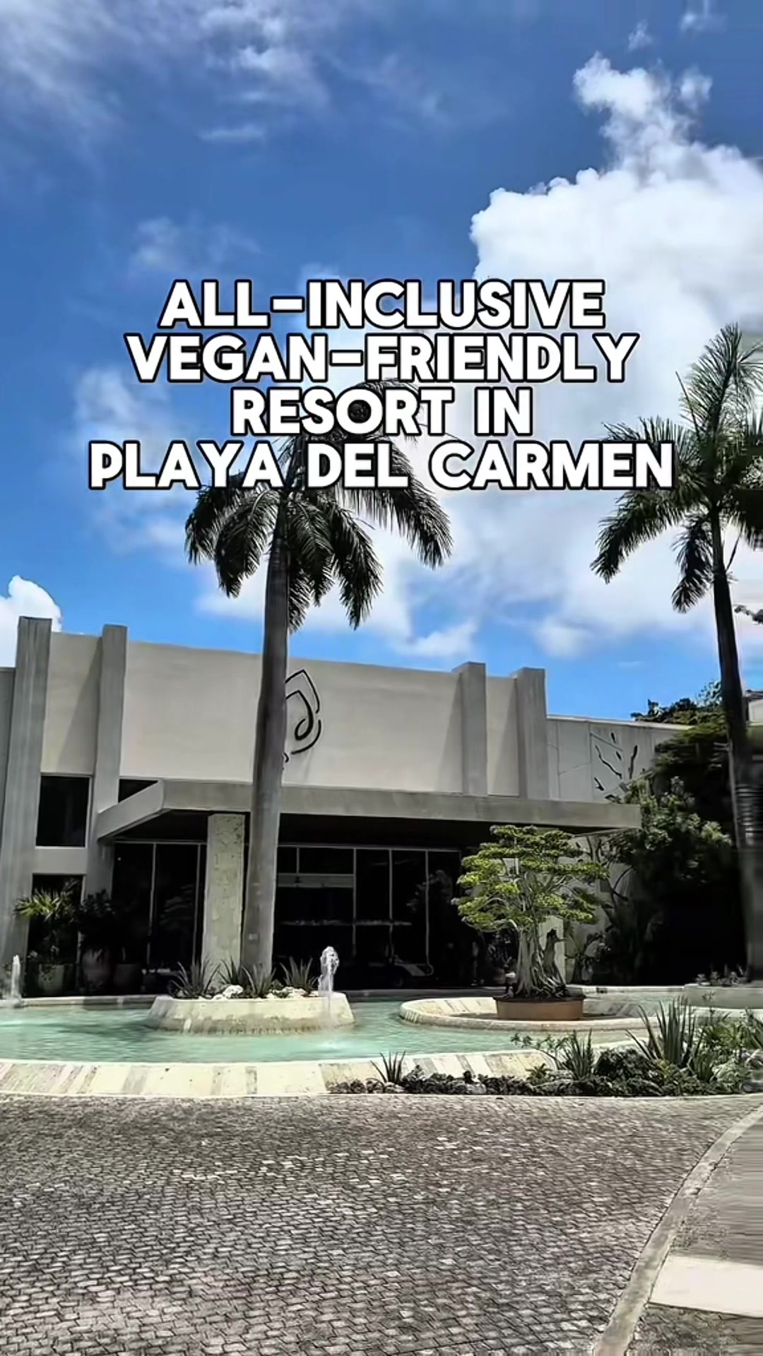 @maggieeatsvegan