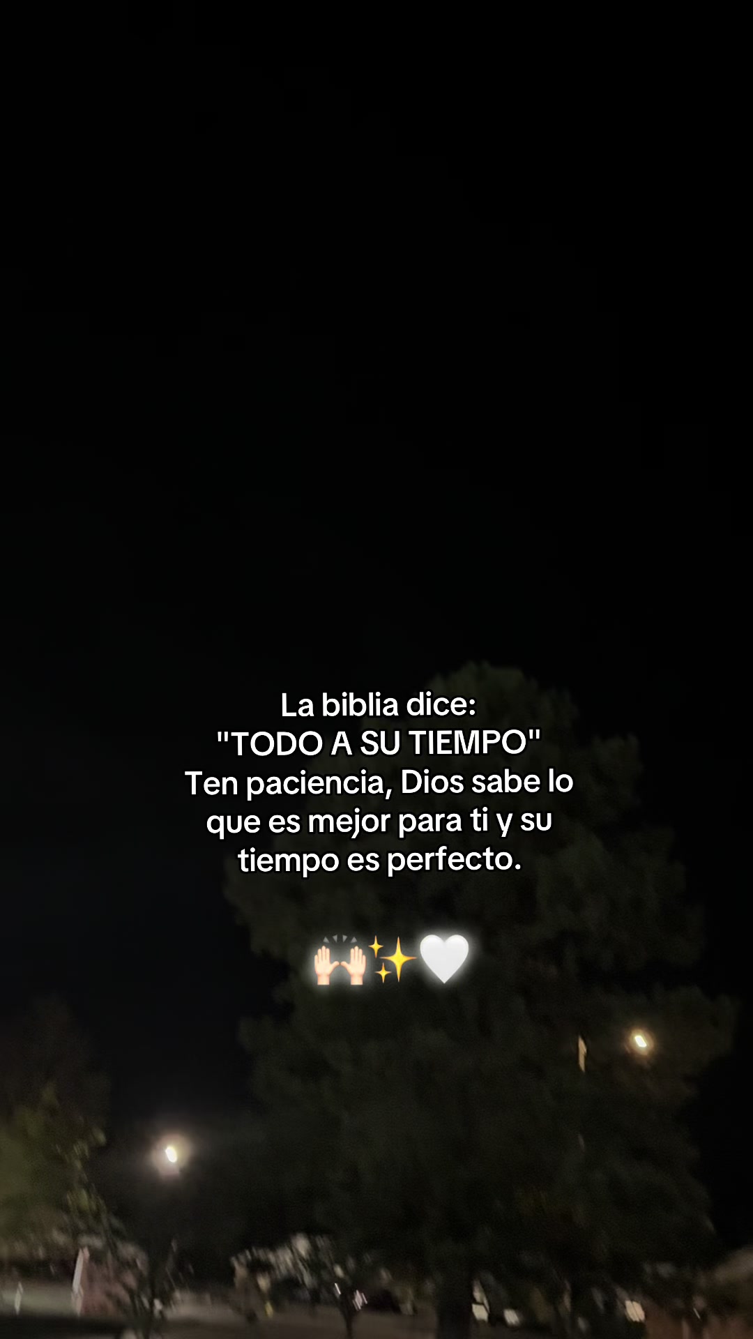 @🫂🐾♉️Masiel🫶 ⩜⃝🌈🦩
