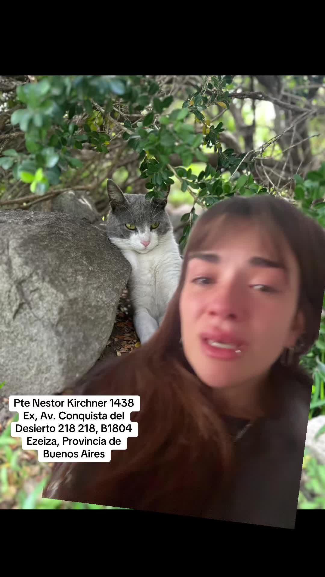 @Manuela Mesquida