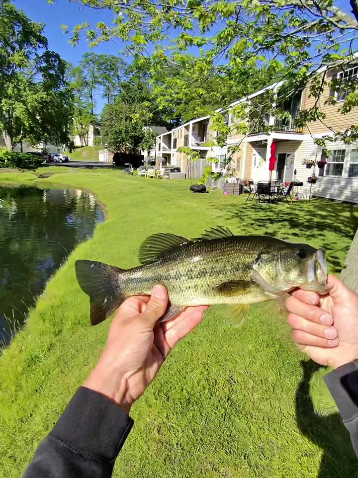 @PickleFishin