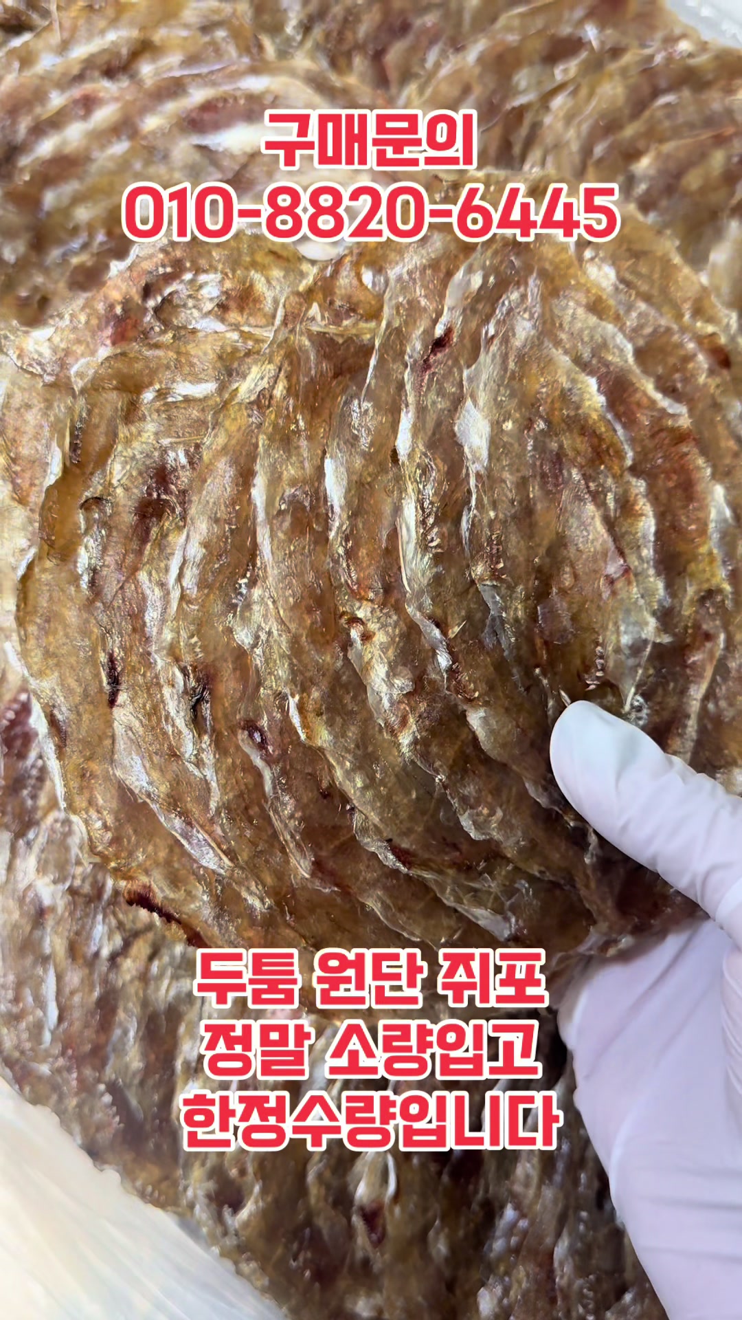 @숭사장건어물(숭사장오징어)🦑