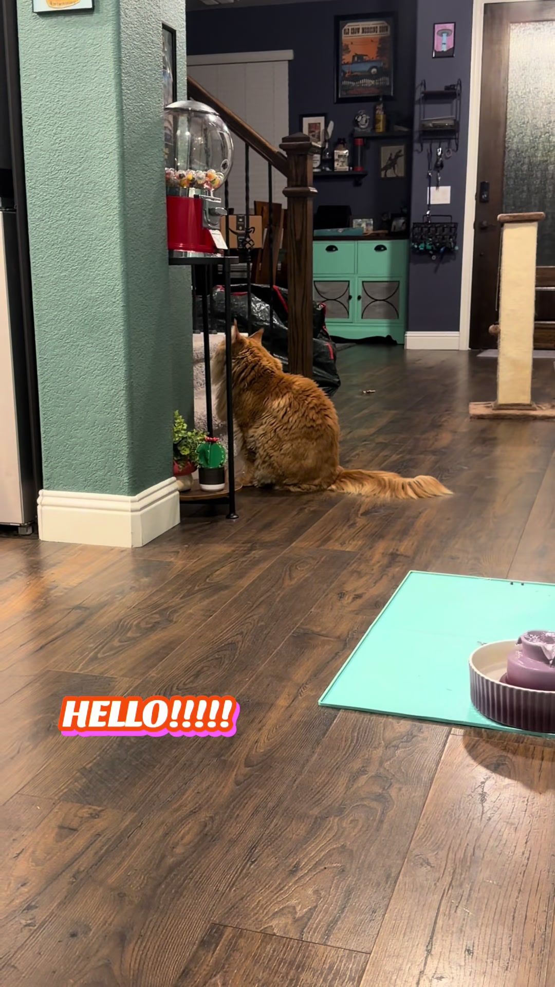 @Theodore Scritches McWiggles